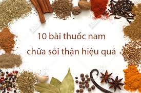 Sỏi thận theo Y Học Cổ Truyền